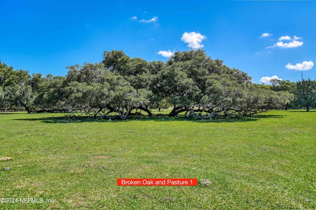 2490 Cade Fernery Rd, Seville, FL 32190 - photo 44