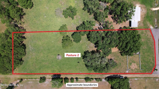 2490 Cade Fernery Rd, Seville, FL 32190 - photo 46