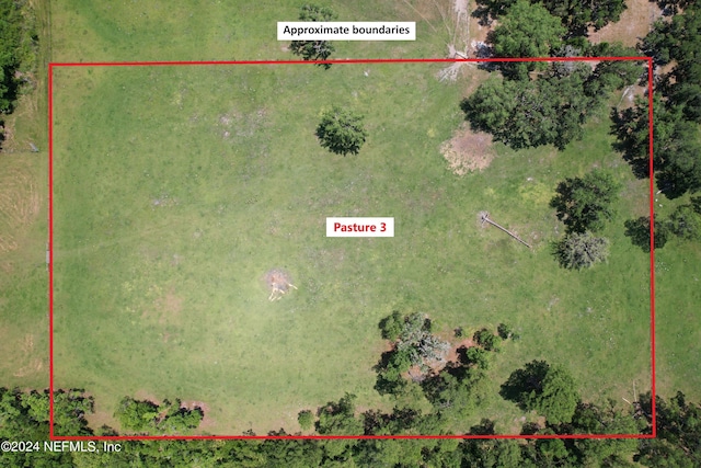2490 Cade Fernery Rd, Seville, FL 32190 - photo 48