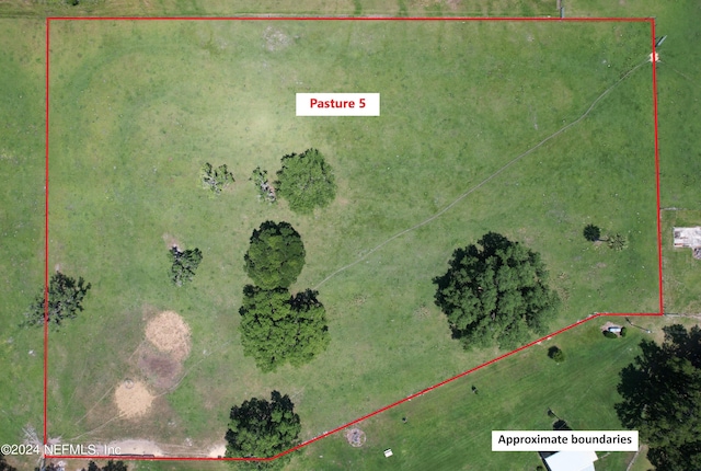2490 Cade Fernery Rd, Seville, FL 32190 - photo 56