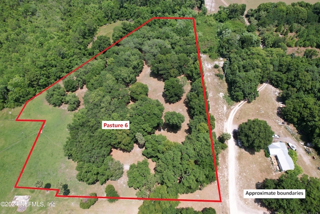 2490 Cade Fernery Rd, Seville, FL 32190 - photo 58
