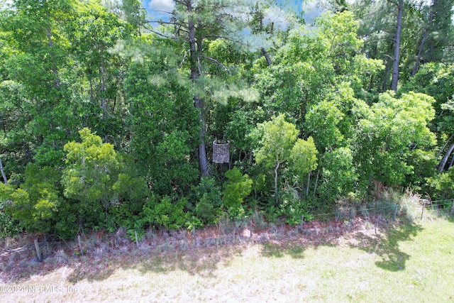 view of local wilderness