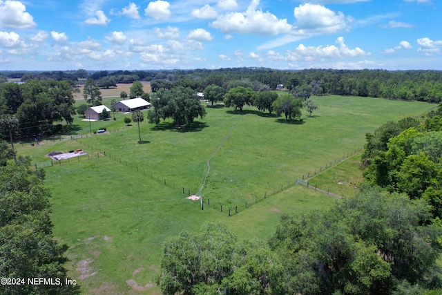 2490 Cade Fernery Rd, Seville, FL 32190 - photo 57