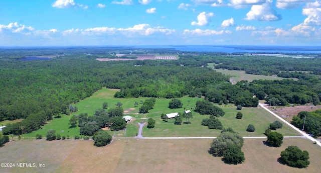 2490 Cade Fernery Rd, Seville, FL 32190 - photo 66