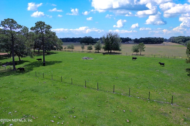 view of yard featuring a rural view