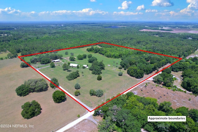 2490 Cade Fernery Rd, Seville, FL 32190 - photo 6