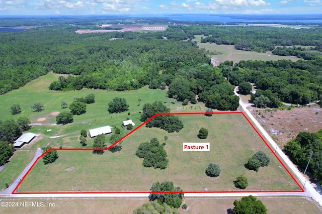 2490 Cade Fernery Rd, Seville, FL 32190 - photo 43