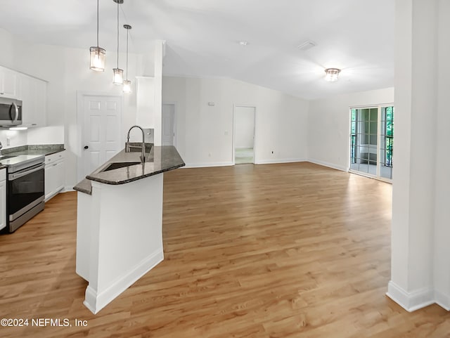 kitchen with light hardwood / wood-style floors, sink, and stainless steel appliances