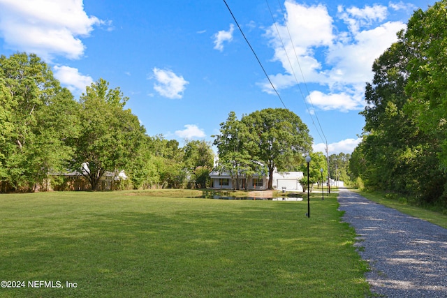 view of home's community with a lawn