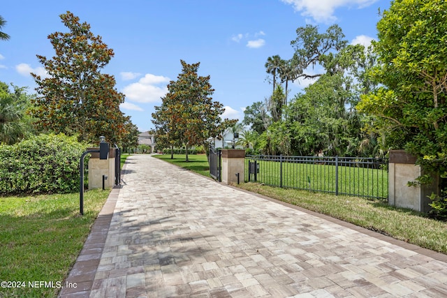 view of property's community featuring a lawn