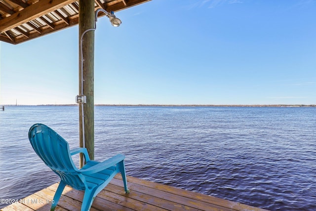 dock area with a water view