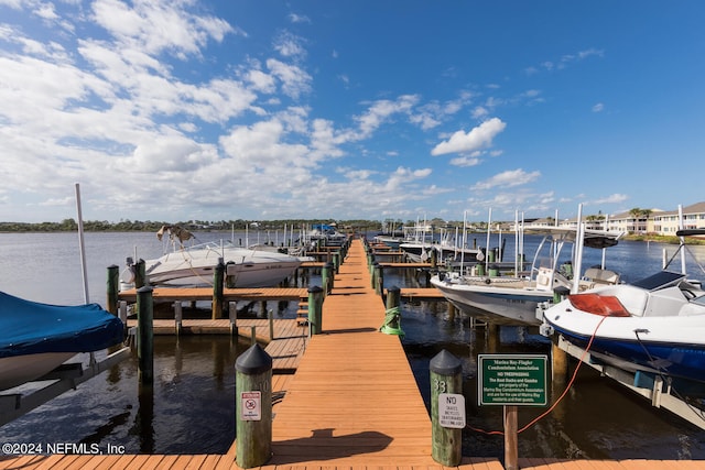 dock area with a water view