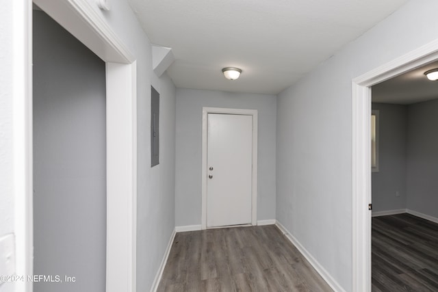 hallway with wood-type flooring and electric panel