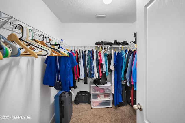 2035 Garrison Way, Green Cove Springs, FL 32043 - walk in closet featuring carpet