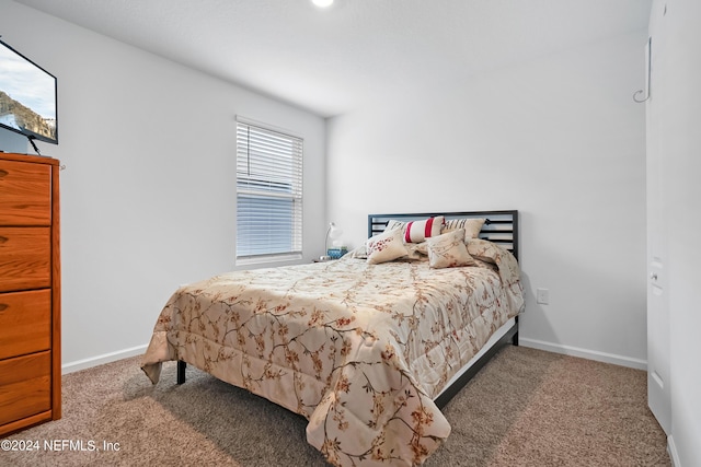 2035 Garrison Way, Green Cove Springs, FL 32043 - bedroom with carpet