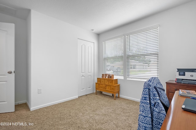 2035 Garrison Way, Green Cove Springs, FL 32043 - view of carpeted home office