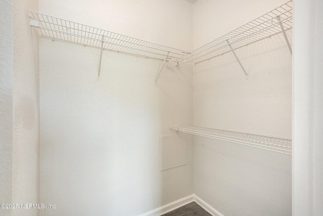 spacious closet featuring carpet floors