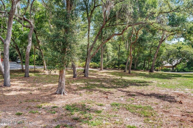 701 Camelia Trl, Saint Augustine, FL 32086 - photo 6