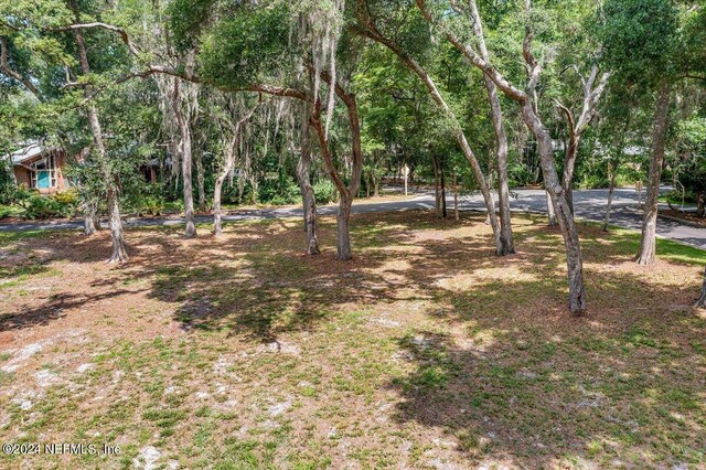 701 Camelia Trl, Saint Augustine, FL 32086 - photo 7