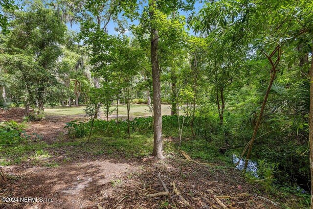 701 Camelia Trl, Saint Augustine, FL 32086 - photo 4