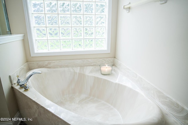 bathroom with a bath and a wealth of natural light