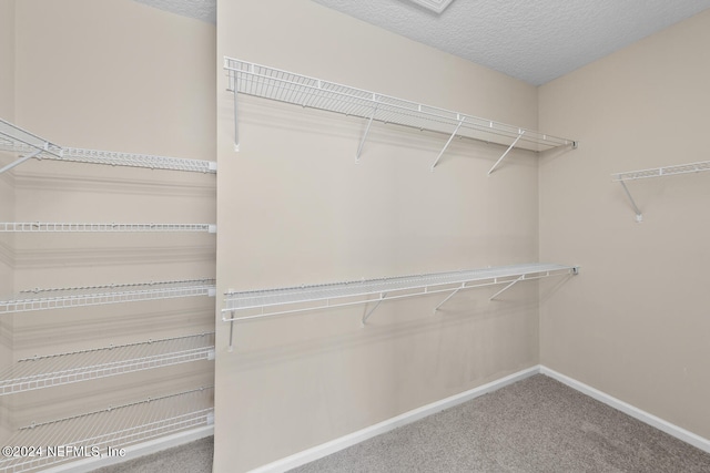 walk in closet with carpet floors