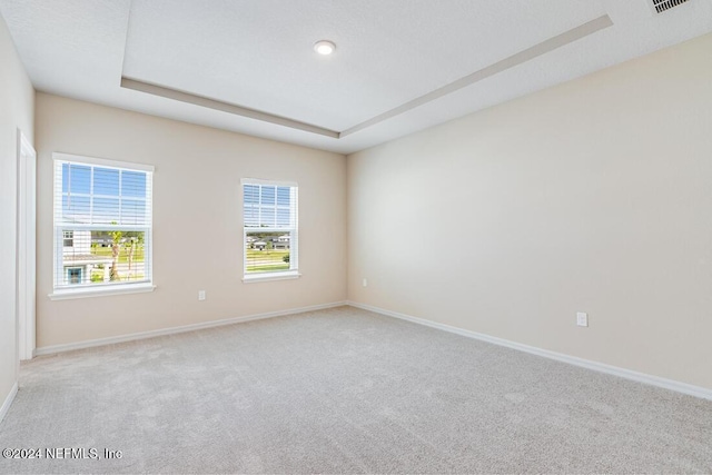 carpeted empty room with a raised ceiling