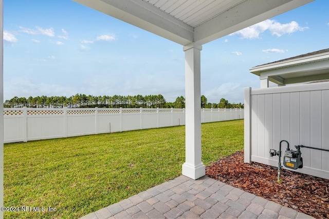 view of yard with a patio area