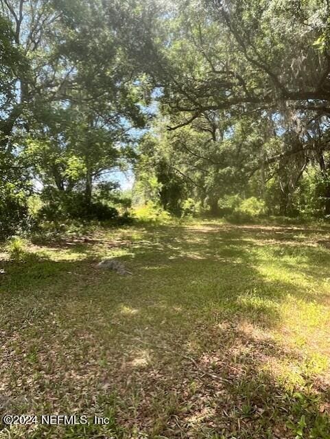 Listing photo 3 for 0 County Rd 209 S, Green Cove Springs FL 32043