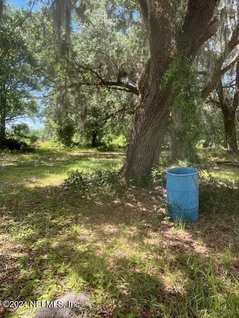 Listing photo 2 for 0 County Rd 209 S, Green Cove Springs FL 32043