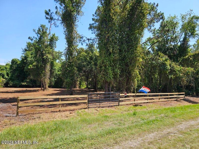 902 Paradise Blvd, Georgetown FL, 32139 land for sale