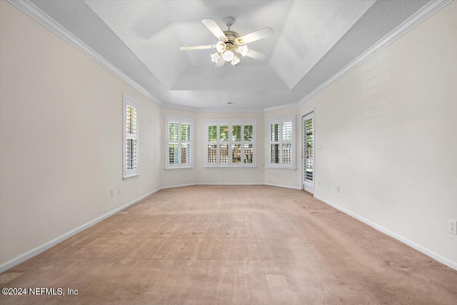 unfurnished room with light colored carpet, a raised ceiling, ornamental molding, and a textured ceiling