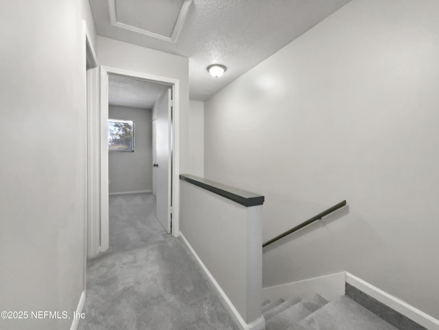 stairs with a textured ceiling and carpet floors