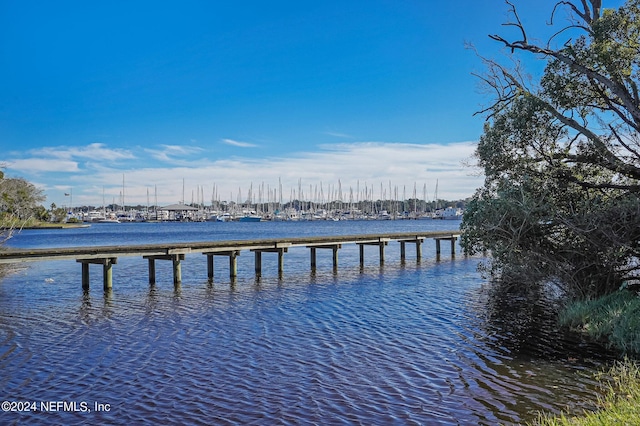 view of dock with a water view