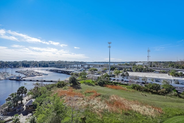 bird's eye view with a water view