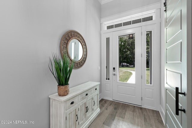 entryway featuring a barn door, a healthy amount of sunlight, and light wood-type flooring