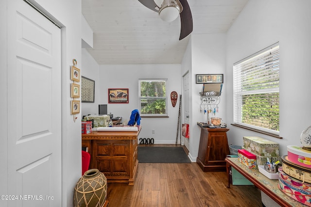 office space featuring ceiling fan and dark hardwood / wood-style flooring