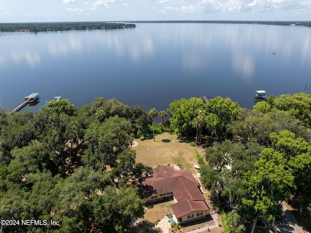 bird's eye view with a water view