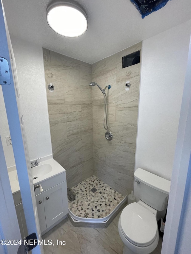 bathroom with vanity, a tile shower, and toilet