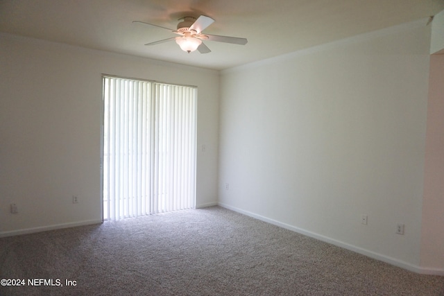 carpeted spare room with a wealth of natural light and ceiling fan