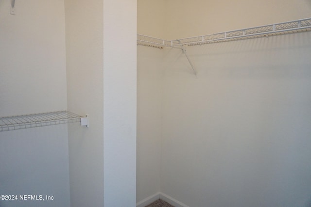 spacious closet featuring carpet flooring