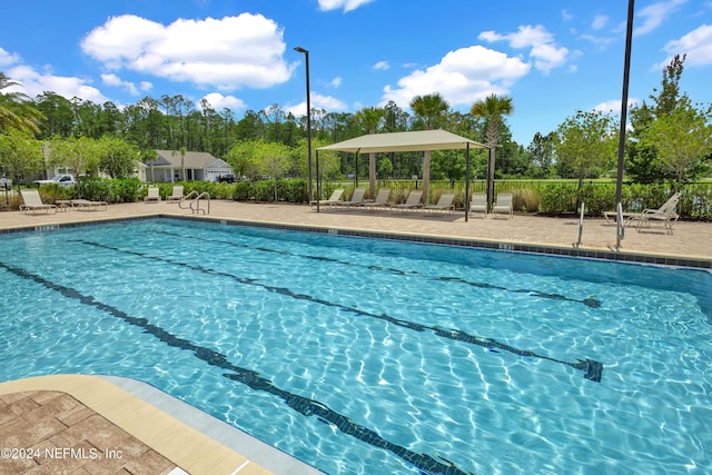 view of swimming pool