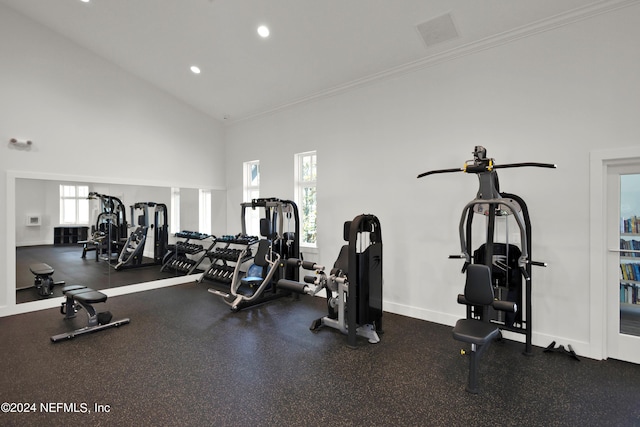 gym featuring crown molding and high vaulted ceiling