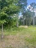 Listing photo 3 for 0 Gaskin Cir, Sanderson FL 32087