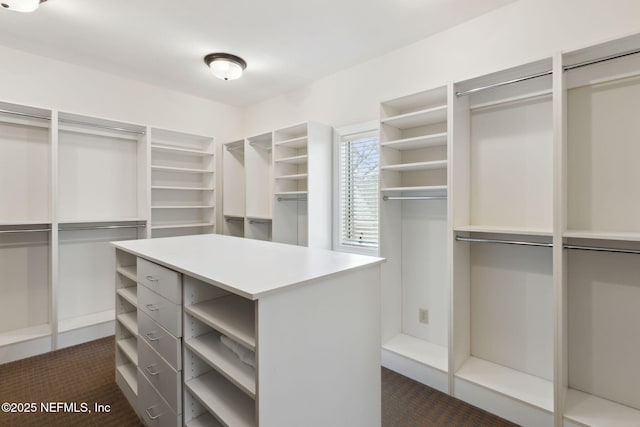 view of spacious closet