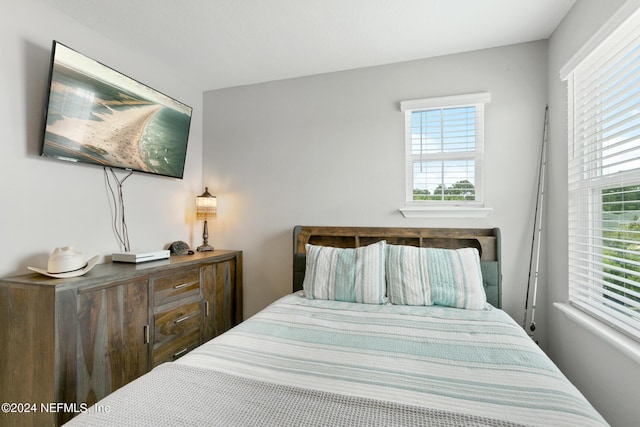 bedroom featuring multiple windows