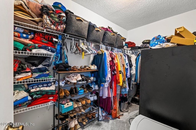 spacious closet featuring carpet