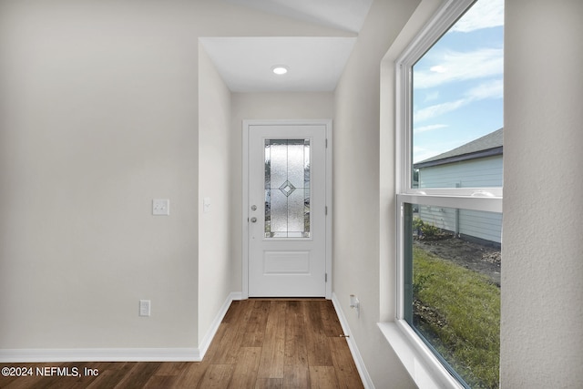 entryway featuring wood-type flooring