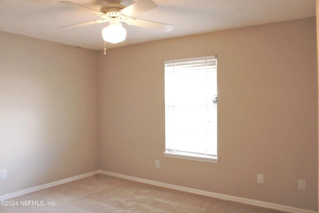 8229 Provincial Cir S, Jacksonville, FL 32277 - photo 13