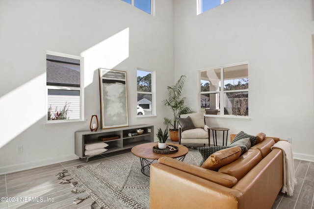 living room with hardwood / wood-style floors and a towering ceiling